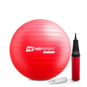 Gymnastická lopta  s pumpou 55cm - červená