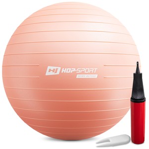 Gymnastická lopta s pumpou 55cm - ružová